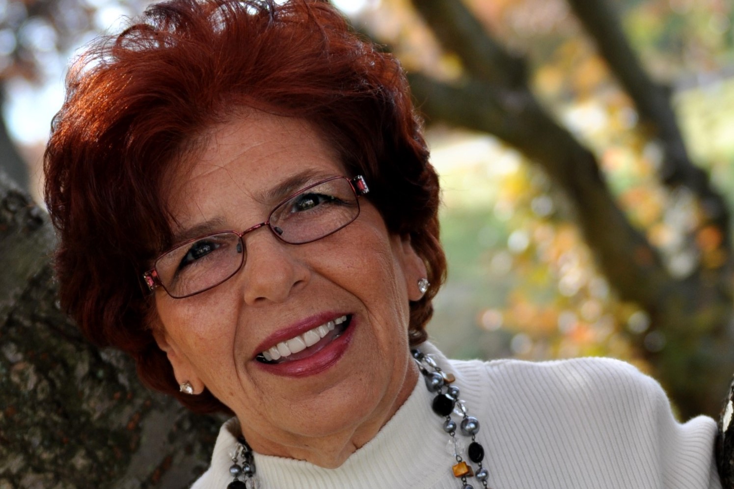 Linda Ann Skliros Skliros — Mobile Notary in Valley Stream, NY