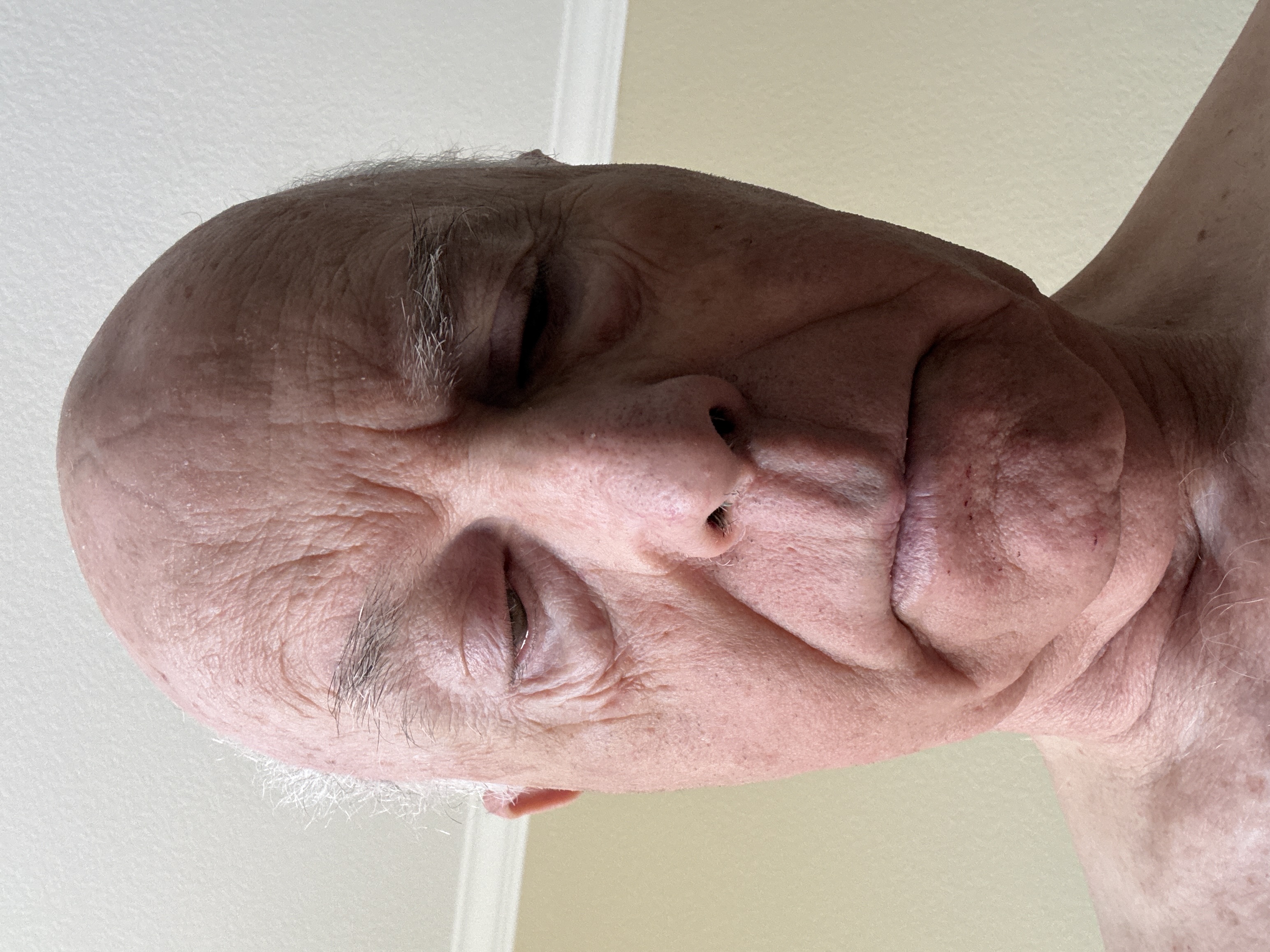 Michael Hess — Mobile Notary in Scottsdale, AZ